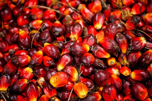 Huile de palme rouge