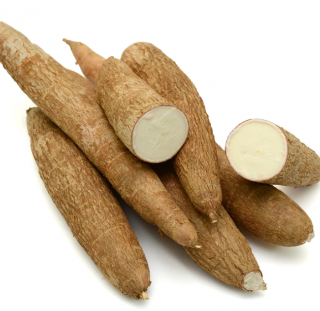 manioc
